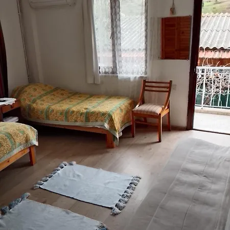 Guenebakan Taliani Ayvalı