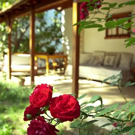 Hotel Guenebakan Taliani Ayvalı