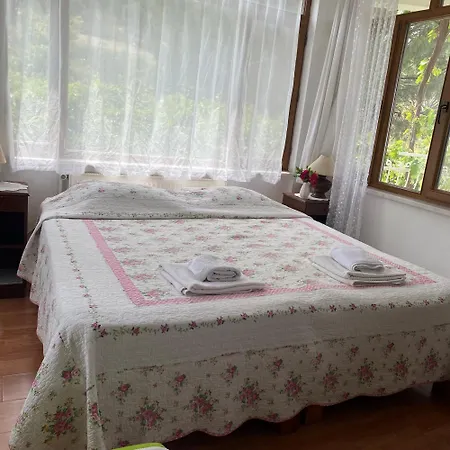 Hotel Guenebakan Taliani Ayvalı