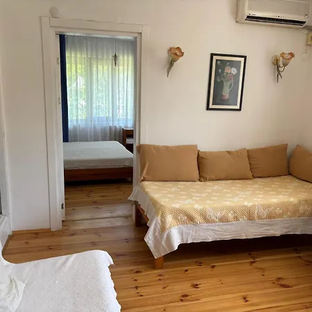 Guenebakan Taliani Ayvalı